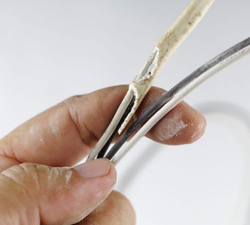 electricity wire damaged by rat bite