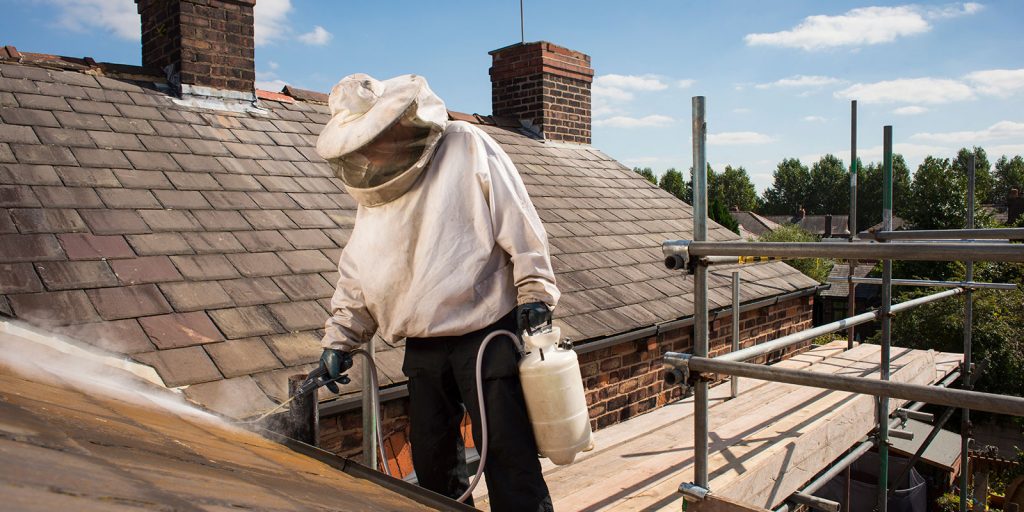 A pest control expert work to exterminate pests on the roof of a Vancouver home.