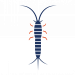Click to see pest control for silverfish.