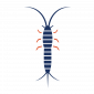 Click to see pest control for silverfish.