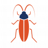 Click to see pest control for cockroaches.