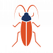 Click to see pest control for cockroaches.