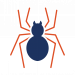 Click to see pest control for spiders.