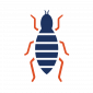 Click to see pest control for fleas.
