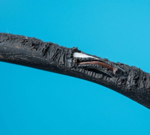 Damage on the rubber of a electricity wire from rat bite
