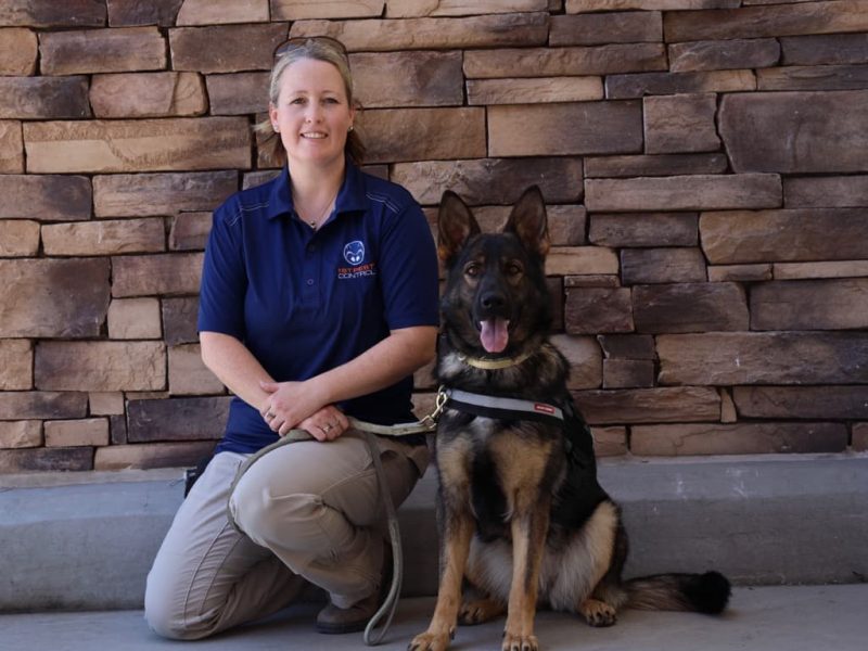 Kate Powers and Halo are our trusted K9 Detection Team. Together they are a powerful force detecting live eggs and bed bugs in different scenarios.