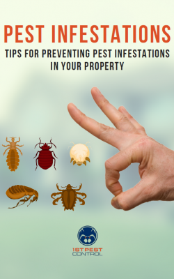 guide-prevent-pest-infestations