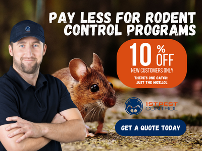 Our current promotion for rodent control programs is only for new customers.