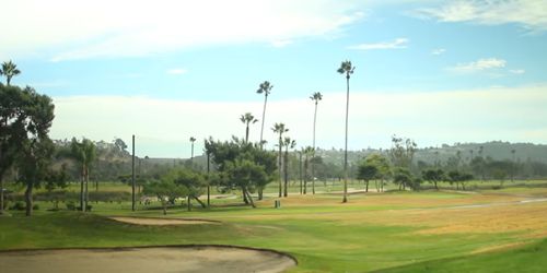 Golf courses are regularly affected by burrowing rodents such as gophers and moles.