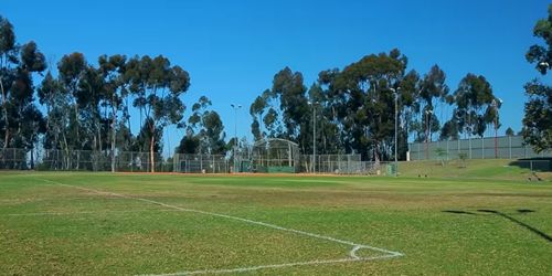 Sport facilities can be greatly affected by burrowing rodents.