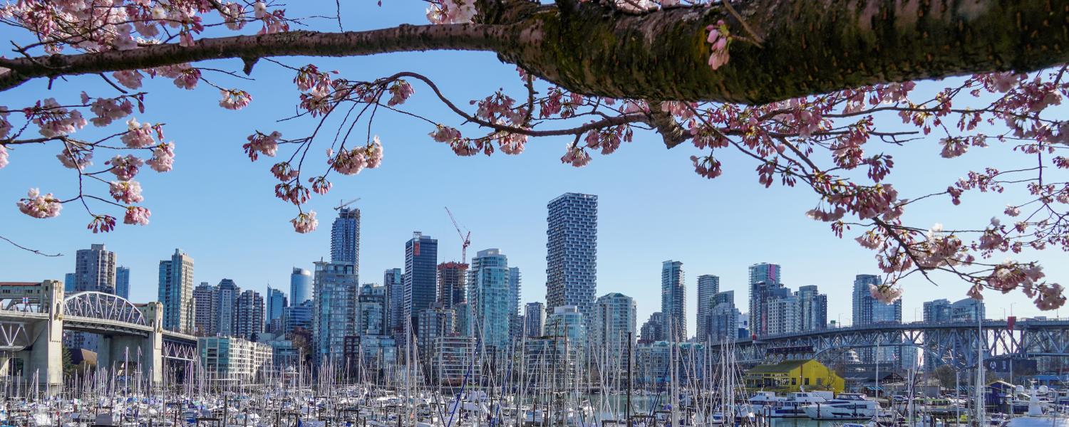 Spring in Vancouver BC is one of the most enjoyable seasons of the year.