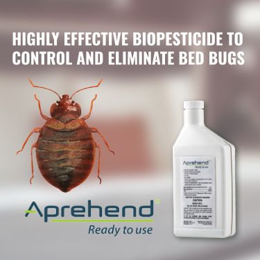 aprehend-biopesticide-bed-bug-treatment Aprehend is simply the most effective treatment against bed bugs and it's the only method utilized by 1st Pest Control