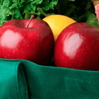 bags Grocery bags