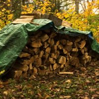 firewood firewood