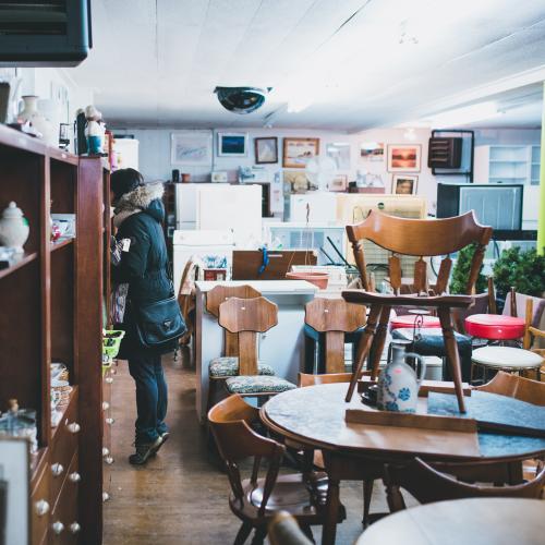 Eliminate bed bug problems now. Fast and efficient treatments.