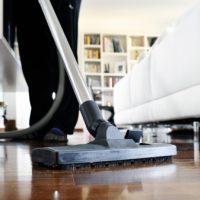 Vacuuming stinkbugs