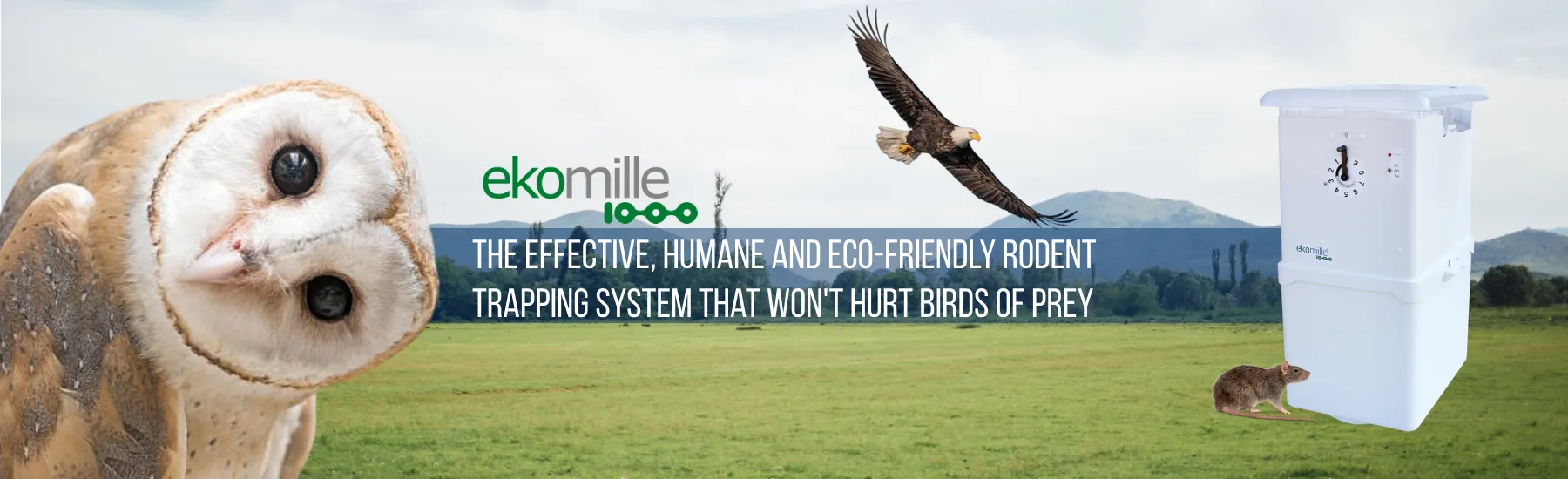 Ekomille is a humane and eco-friendly way of trapping rats without hurting birds pf prey