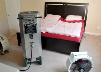obsolete-methods-to-eliminate-bed-bugs-2