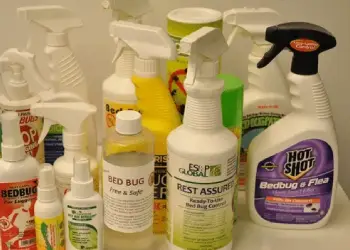 obsolete-methods-to-exterminate-bed-bugs-1