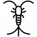 icon-of-a-silverfish Silverfish control