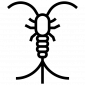 icon-of-a-silverfish Silverfish control
