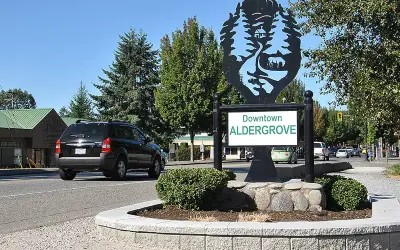 Aldergrove pest control solutions Aldergrove pest control solutions