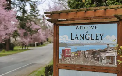Langley pest control services