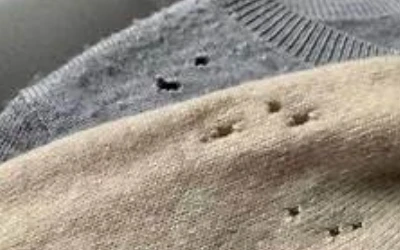 Fabric pest control New Westminster