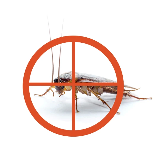 hero-image-cockroach-control-by-1st-pest-control-550x550