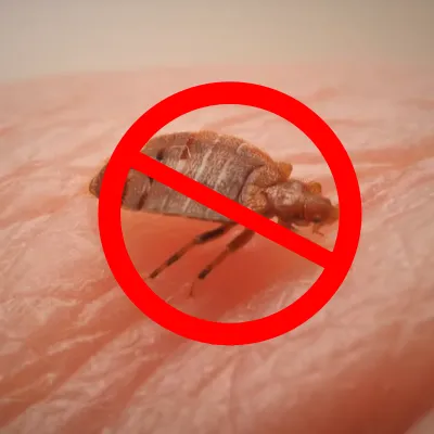 bed-bug-prevention-tips Bed bug prevention tips