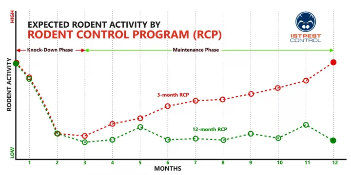 comparison-3-and-12-month-rodent-control-prog Comparison of effectiveness between 3 and 12-month rodent control programs offered by 1st Pest Control