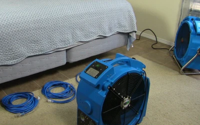 heat treatments to eliminate bed bugs heat treatments to eliminate bed bugs
