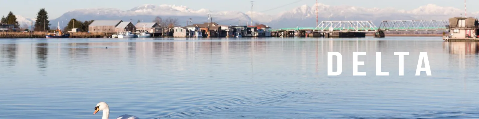 delta-pest-control-hero-image