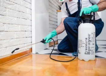 immediate-start-of-treatments Immediate start of treatments