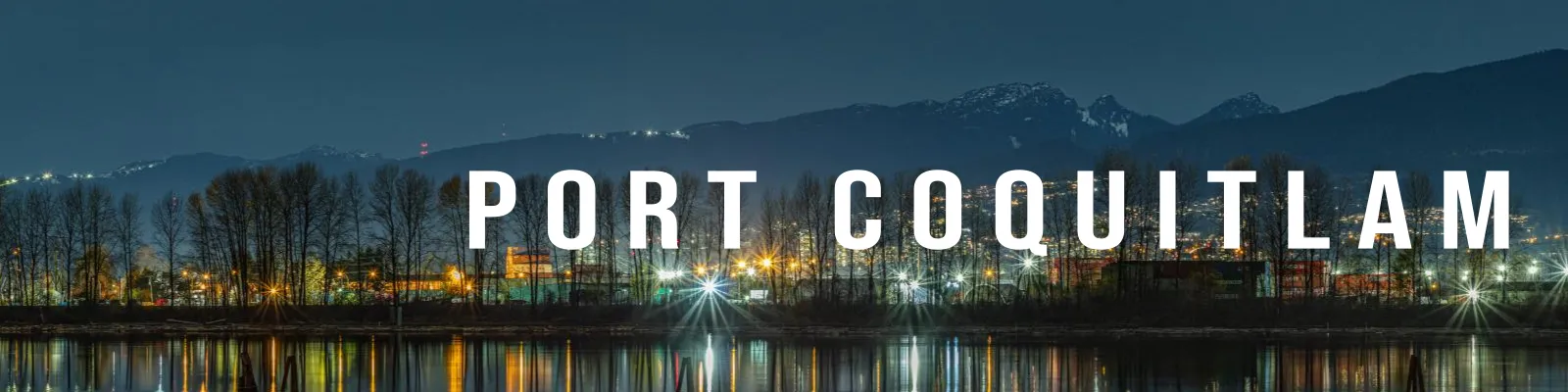 Port Coquitlam pest control sevices by 1st pest control