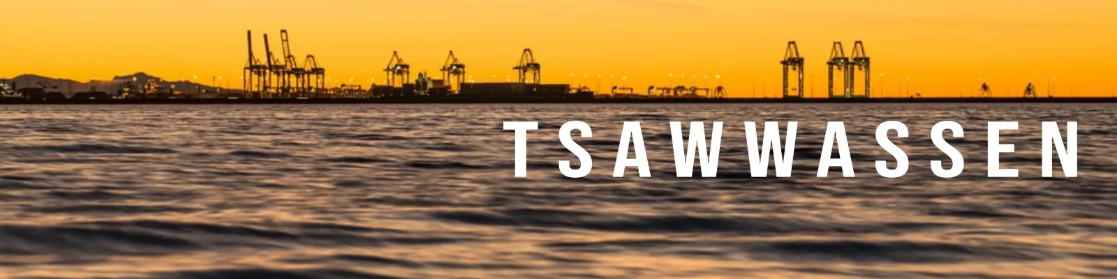 tsawwassen-pest-control-hero-image