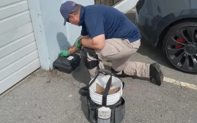 commercial pest control services in greater vancouver