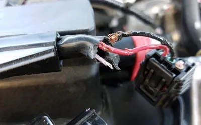 soy-based-wire-coatings soy based wire coatings