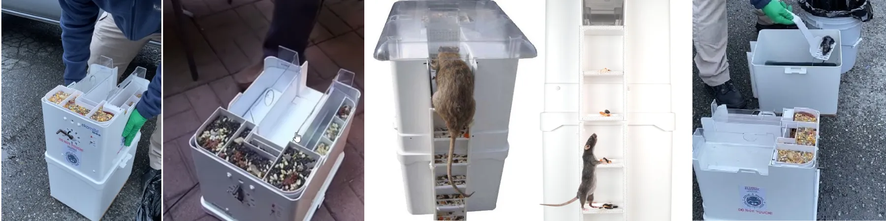 Ekomille rodent control system