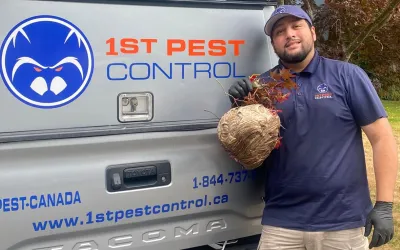 1st Pest Control technician after removing a wasp nest