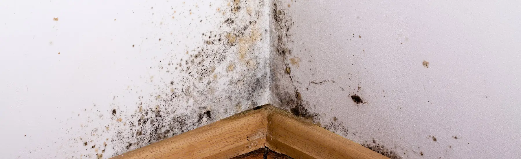moisture management