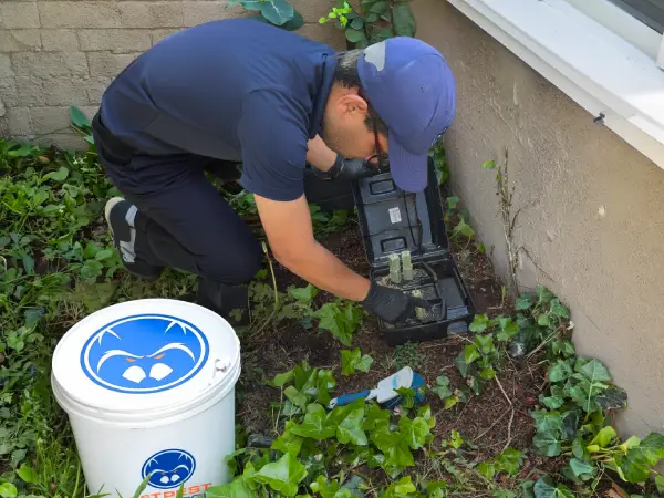 1st-pest-control-technician-doing-rodent-treatment600x450 1st pest control technician doing rodent treatment