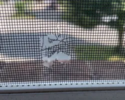 broken-mosquito-screen broken mosquito screen