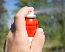 deet deet