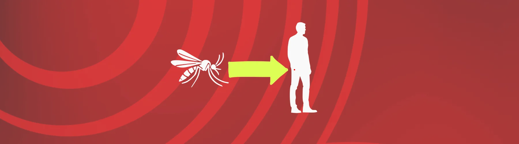 mosquito-transmitted-diseases-with-background-image mosquito transmitted diseases