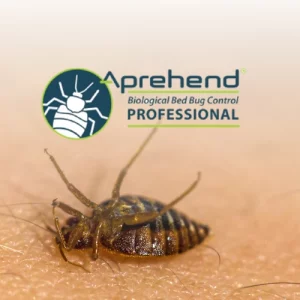 Aprehend is a natural biopesticide that penetrates the exoskeleton of a bed bug