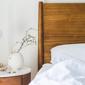 Fortunately bed bugs are not a serious health concern for humans, but they can still create headaches and financial turmoil.